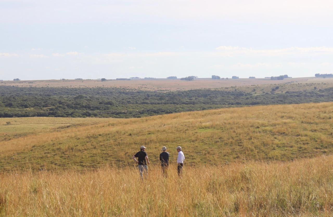 Alianza Mais - Modelos de Produção para a Conservação da Biodiversidade no Bioma Pampa